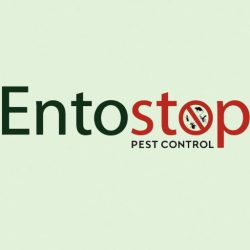 cropped-entostop.jpg